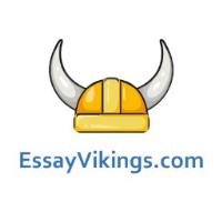 EssayVikings.com image 1