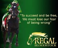 Regal Bloodstock image 8