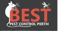 Best Pest Control Perth image 1