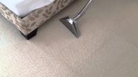 Professional Carpet Steam Cleaning image 3