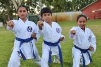 Thornlie First Taekwondo Martial Arts image 2