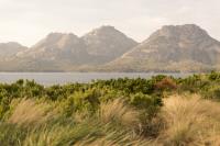 Sawyers Bay Shacks image 5