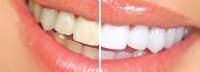 Dentistry Plus image 10