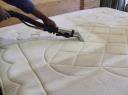 Mattress Cleaning Canberra logo