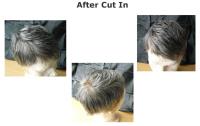 Precision Hair Plus  image 3