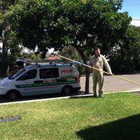 South Sydney Pest Control image 2