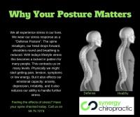 Synergy Chiropractic - Chiropractor Mornington image 4