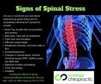 Synergy Chiropractic - Chiropractor Mornington image 5