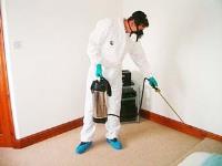 Formula Pest Control image 16