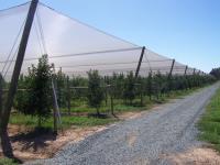 Enviro-Net Canopies image 3