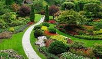 Andy Murray Landscape design  image 1