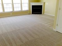 Carpet Cleaning Canberra image 5