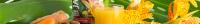 Jamu Drinks image 13