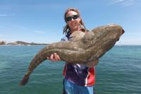 Fish Port Stephens Estuary Charters image 2