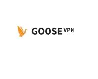 GOOSE VPN image 1