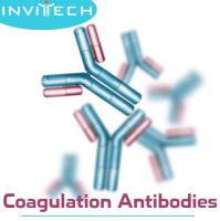 Invitech Ltd image 9