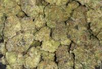 CANABIS BUD SHOP image 1