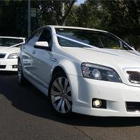 Maxi Limo SA image 1