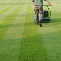 Lawn Mowing Gilles Plains - Fox Mowing SA image 3