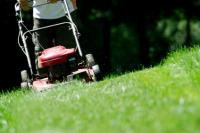 Lawn Mowing Gilles Plains - Fox Mowing SA image 5