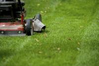 Lawn Mowing Gilles Plains - Fox Mowing SA image 6