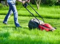 Lawn Mowing Gilles Plains - Fox Mowing SA image 8