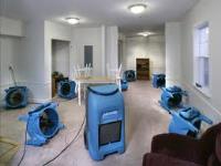 Carpet Cleaning Flood Damage Melbourne image 1