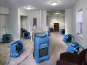 Carpet Cleaning Flood Damage Melbourne logo