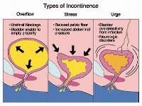 Urologist Melbourne image 21