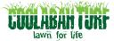 Coolabah Turf logo