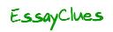 Essay Clues logo