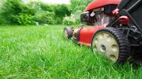 Lawn Mowing Davistown image 1