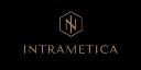 Intrametica logo