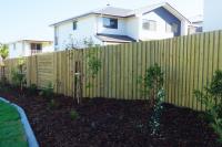 Intexa - Architectural Timber Systems image 7