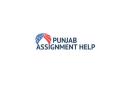 Punjab Assignment Help logo