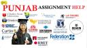 Punjab Assignment Help logo