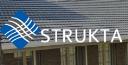 Strukta logo