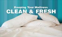 Fresh Mattress Cleaning image 1