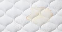 Fresh Mattress Cleaning image 5