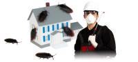 Peters Pest Control Melbourne image 6