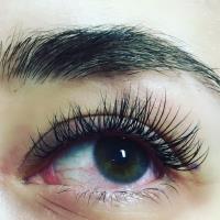 The Eyelash Lounge Beauty Salon image 3