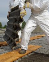 Xbestos Asbestos Removals image 1