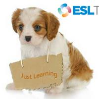 ESL Tutoring - Sydney image 6