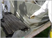 Simple Asbestos Removal image 1