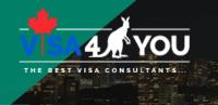 Visa4You image 2