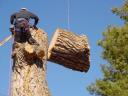 Tree Lopping Brisbane North logo