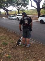 Dog Walker Cronulla image 2