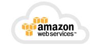 AWS Certified Big Data - Specialty image 1