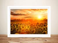 Canvas Prints Australia image 10