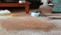 Sunrise Carpet Specialists  image 1